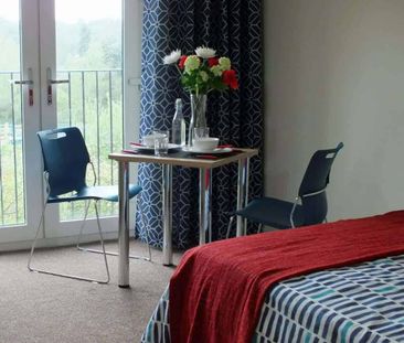 Deluxe Studio - Photo 4