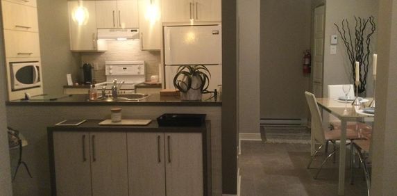 Condo 31/2 à louer MAGOG, TT INCLUS, REZ-D-Ch, meublé, équipé - Photo 2
