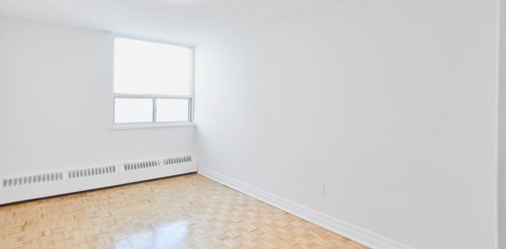 2BD - FULLY RENOVATED - 10 Teesdale Place - Photo 2