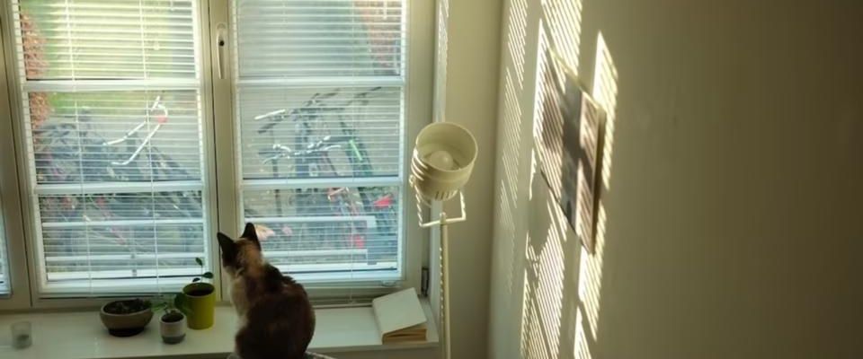 Seniorin sucht kleine Wohnung in Aachen - Foto 1