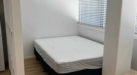 Renovated Studio Apartment - Photo 4