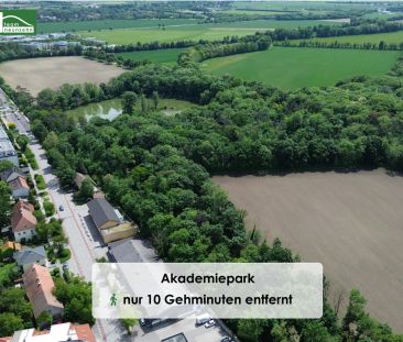 Das Beste aus Stadt und Natur! Wohnen im Herzen von Wiener Neustadt - Foto 3