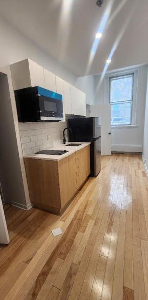 1 CH - 1 SDB - Montréal - $1,245 /mo - Photo 1