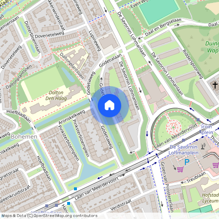 Bohemen en Meer en Bos, 2555 RN, Godetiaweg, Den Haag