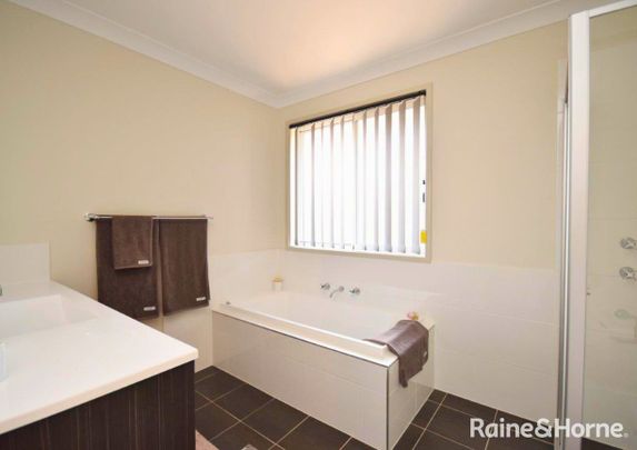 Beauty On Bowerbird - Photo 1