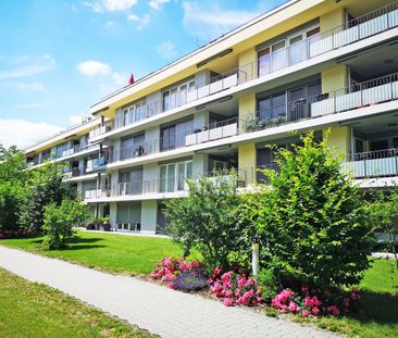 Tolle Wohnung für kleine Familien! - Foto 5