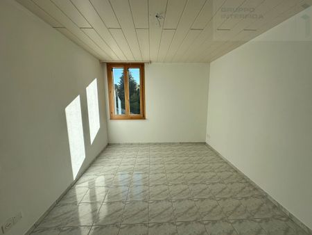 LARGE APARTMENT IMMERSED IN GREEN - Photo 3