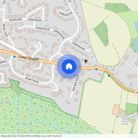 Lower Street, Pulborough