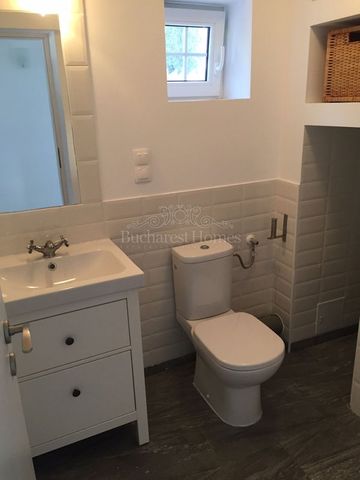 Very Sweet 4 Bedroom Cottage on Lake Snagov - Fotografie 5