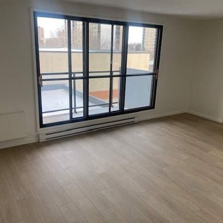 1 CH - 1 SDB - Longueuil - $1,560 /mo - Photo 4