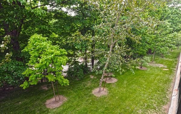 For Lease - 200 Burnhamthorpe Road Unit# 802, Mississauga, Ontario - Photo 1