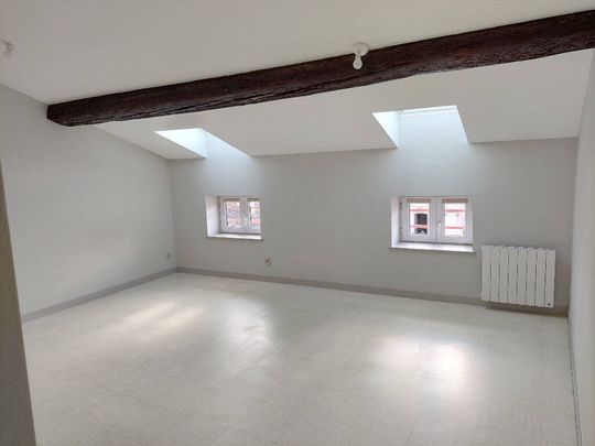 Location appartement 2 pièces 47.25 m² à Mâcon (71000) CENTRE VILLE - Photo 1