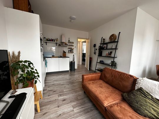 10a, Tuinbouwstraat, Noorderplantsoenbuurt, Oranjewijk, Oude wijken, Groningen, Nederland, 9717 JH, Nederland - Photo 1