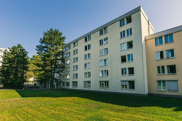 Möbliertes Studentenzimmer in Mannheim! - Photo 1