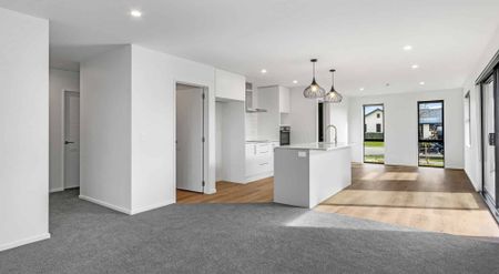 Brand New Executive Home - Photo 4
