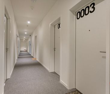 Studentenkamer te huur in Leuven - Photo 6