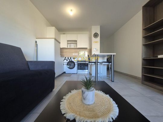 Location Appartement 1 pièce Meublé 30m² LA TRINITE 06340 - Photo 1