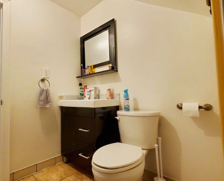 For Lease - 37 Lynnbrook Drive Unit# Basement, Toronto, Ontario - Photo 5