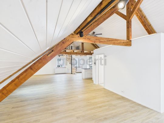 Exklusive Loft Wohnung in Thayngen - Photo 1