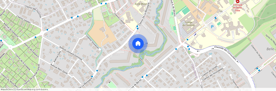 Chemin de la Montagne 100, 1224 Chêne-Bougeries