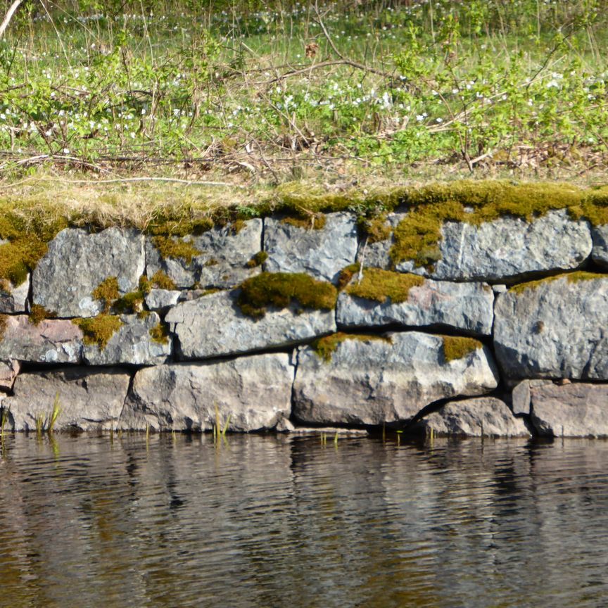 Trea i vacker kulturmiljö - Photo 1