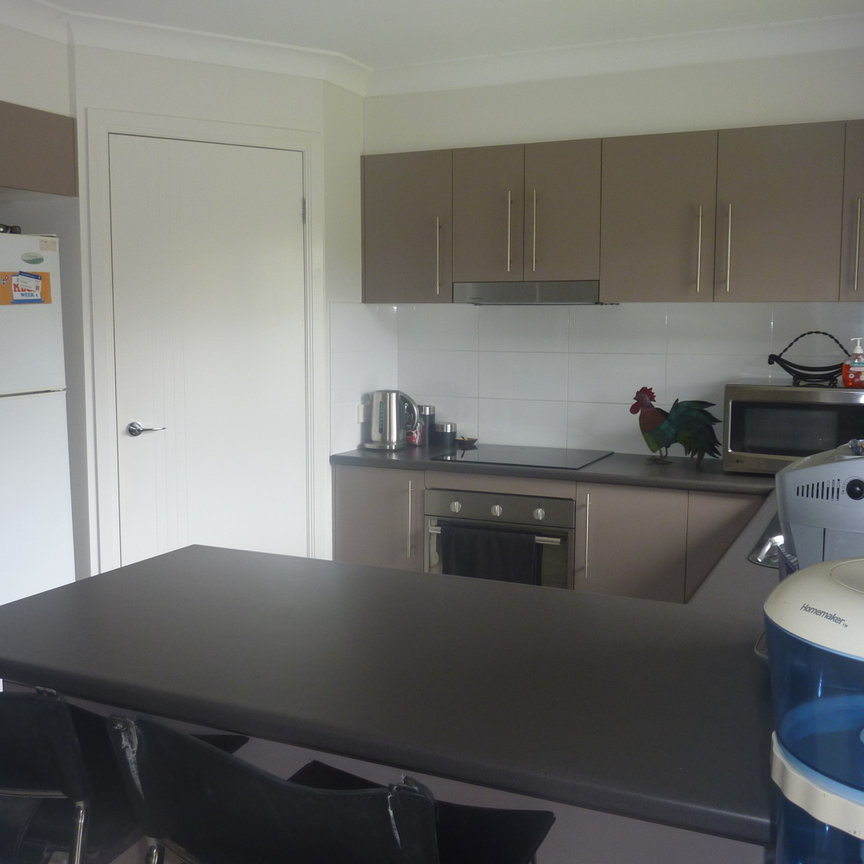 19 Riley Peter Place, Cleveland QLD 4163 - House For Rent | Domain - Photo 1