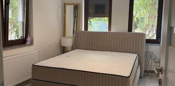 Inchiriere casa individuala 4 camere 91mp curte 300mp constructie 2016 gradina Cotroceni Medicina - Fotografie 2