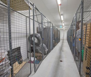 For Lease - 95 Attmar Drive Unit# 112, Brampton, Ontario - Photo 3