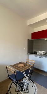 Location Appartement 1 pièce 18m² CHAMBERY 73000 - Photo 3