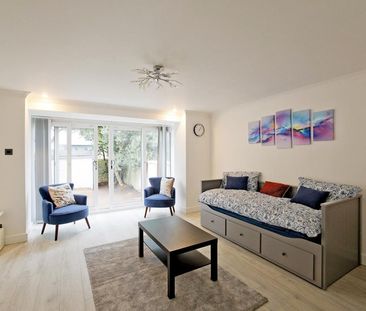 Pointers Close - Photo 6