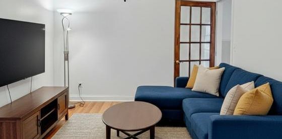 Grand 5 ½, 3 BR,/libre mars, 2ieme,Métro Préfontaine+poss parking - Photo 2