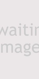 Rosemary Way - Photo 3