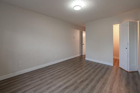 1 Bedroom - Photo 4