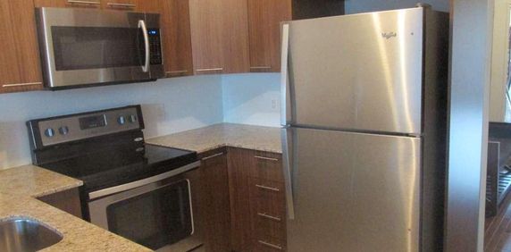 4 1/2 Plateau Mont Royal - Photo 2