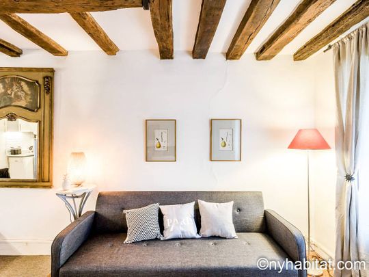 Logement à Paris, Location meublée - Photo 1