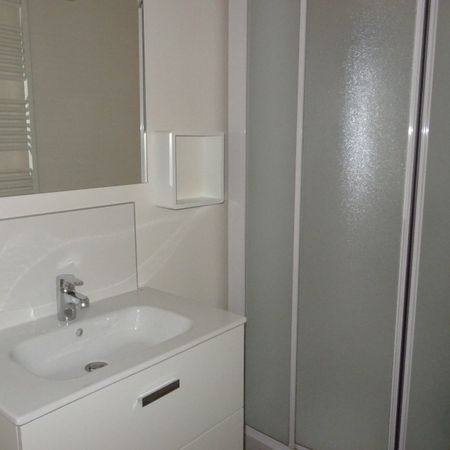 Location Appartement 2 pièces 57m² TOURNON SUR RHONE 07300 - Photo 3