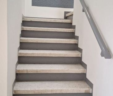 Casa Remodelada de 4 Recámaras | Colomos, Country Club y Punto Sao ... - Photo 3