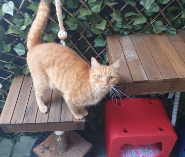 Upper Coomera - Photo 2