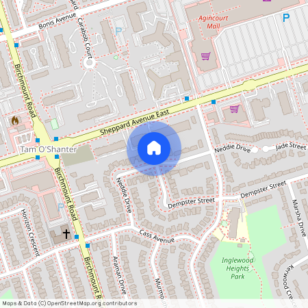 36 Neddie Drive Unit# ( Lower ), Toronto