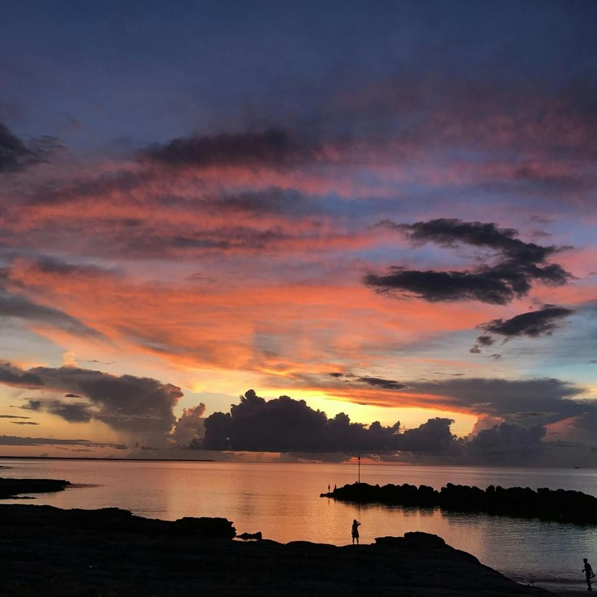 SUNSET DRIVE LIVING - Photo 1