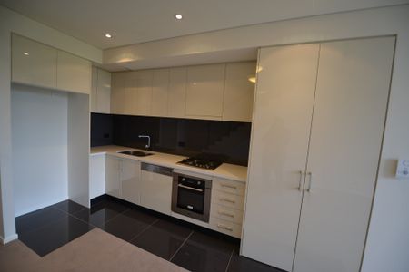 201/1 Lamond Lane, Zetland - Photo 5