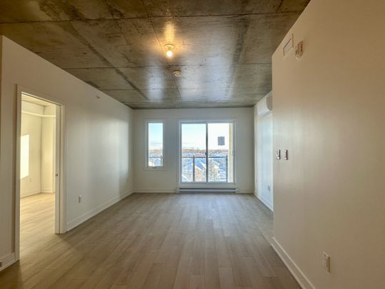 30 Avenue Joseph Lafléche, #502 - Photo 1