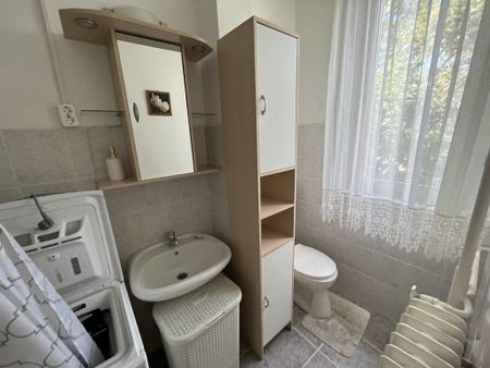 Borsod-Abaúj-Zemplén megye, Tiszaújváros Juhar köz - Photo 2
