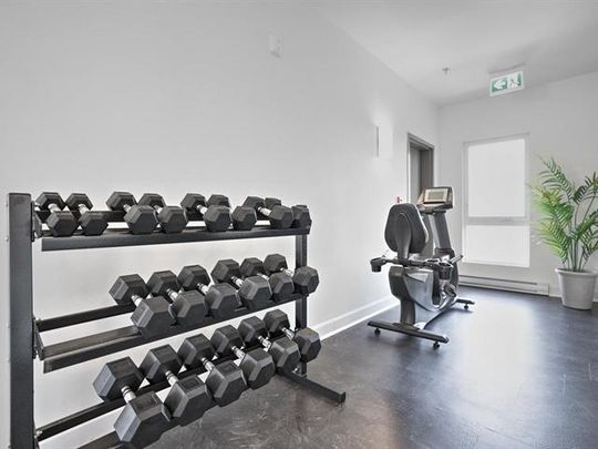 9801 Rue Cérès - Photo 1