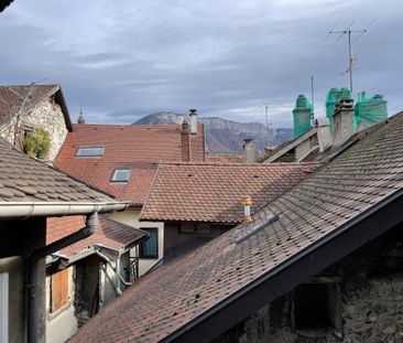 Location Appartement 1 pièce 22m² ANNECY 74000 - Photo 5