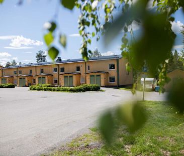 Hallonvägen, Vindeln - Foto 1