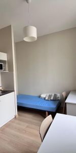 Location Appartement 1 pièce 15m² GRENOBLE 38000 - Photo 3