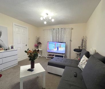 Sycamore Road - Photo 6