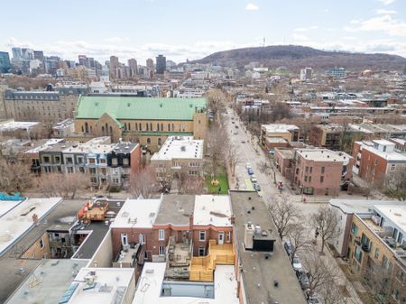 Condo for rent, Montréal (Le Plateau-Mont-Royal) - Photo 4