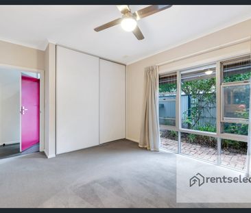 So Many Features PLUS Solar Panels! - Photo 5